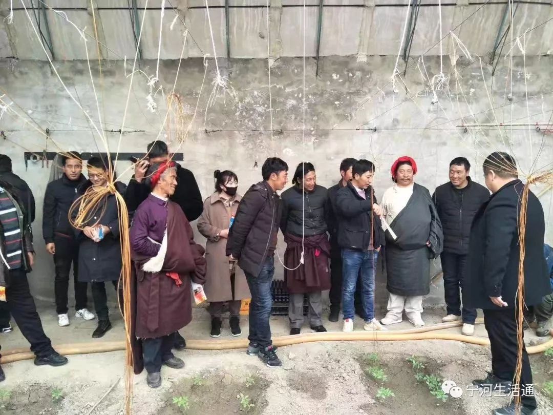 贡觉人口多少_老贡觉林宫(2)