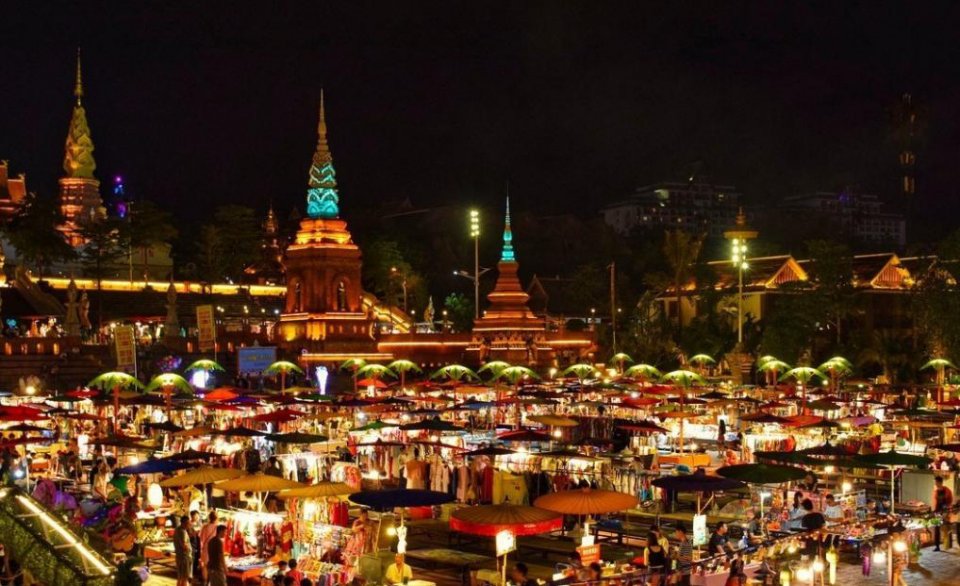 去告庄西双景，去雨林深处听懂大自然