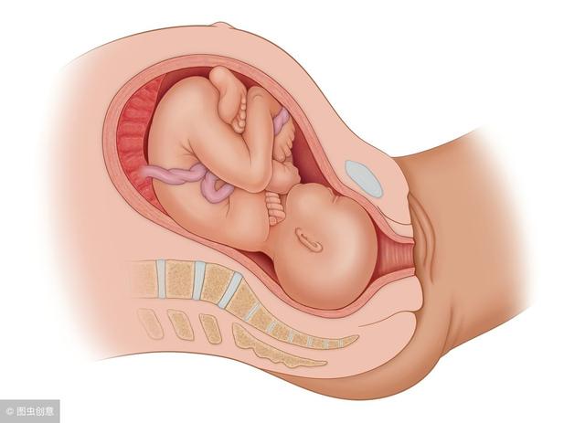 【9个月胎儿可不只是头朝下，还有这些姿势，学妈妈的样子让人笑喷】
