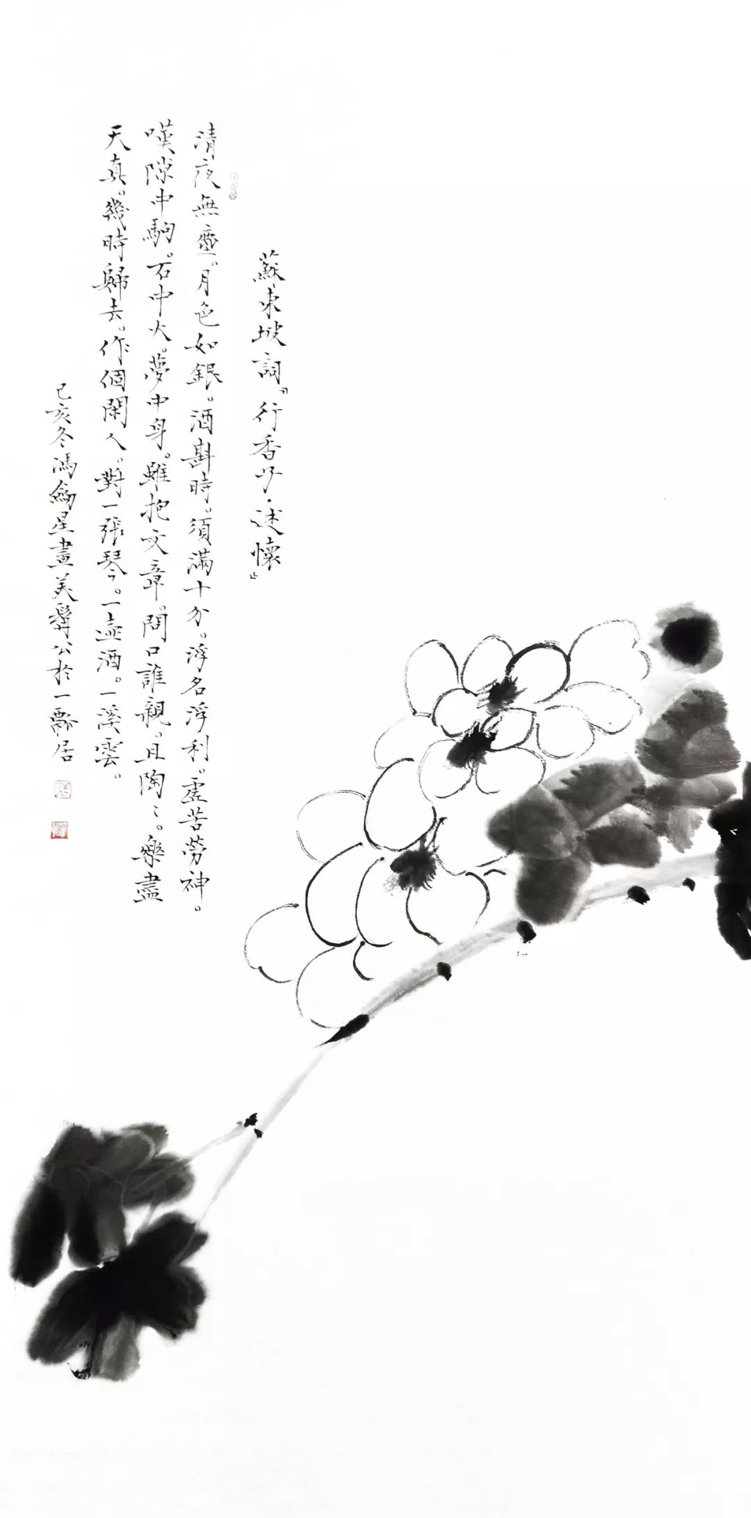 聚焦| 静待花开——冯剑星国画小品迎春展_书法