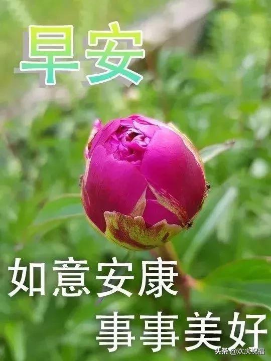1月8日微信最好看的早安问候祝福语动态图,暖心的早上好祝福美图