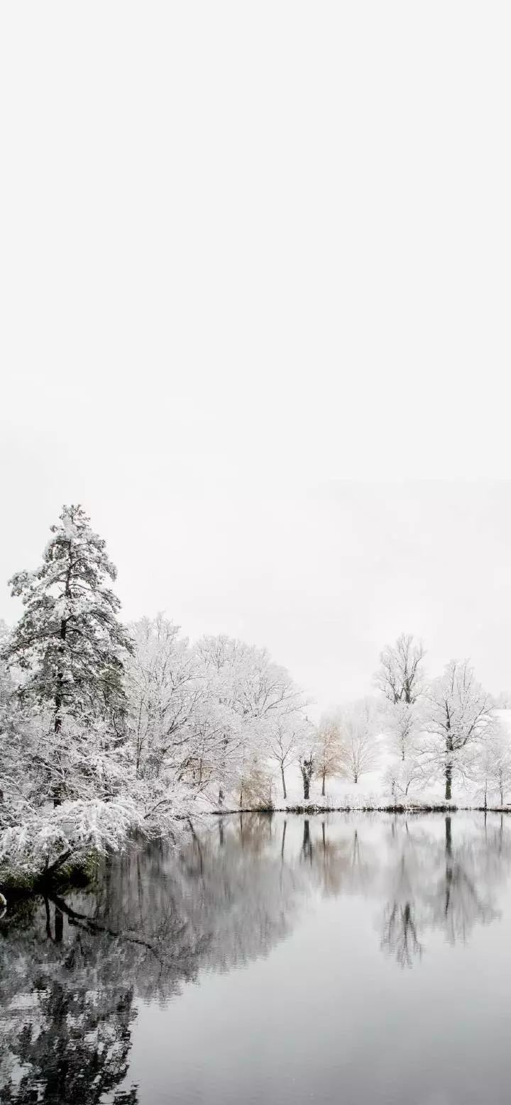 雪景壁纸这北国的白色浪漫我只分享与你