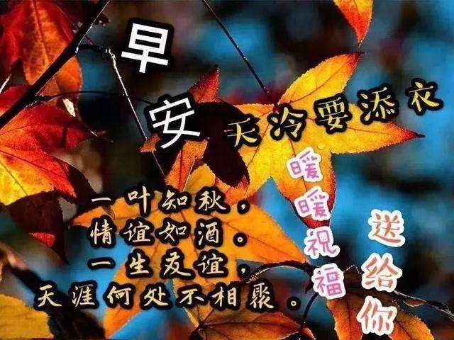 早晨吉祥:牵挂是最无私的思念,祝福是最美好的话语!早晨好