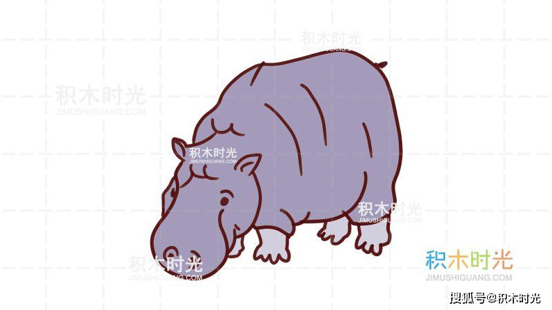 河马简笔画教程画河马简笔画