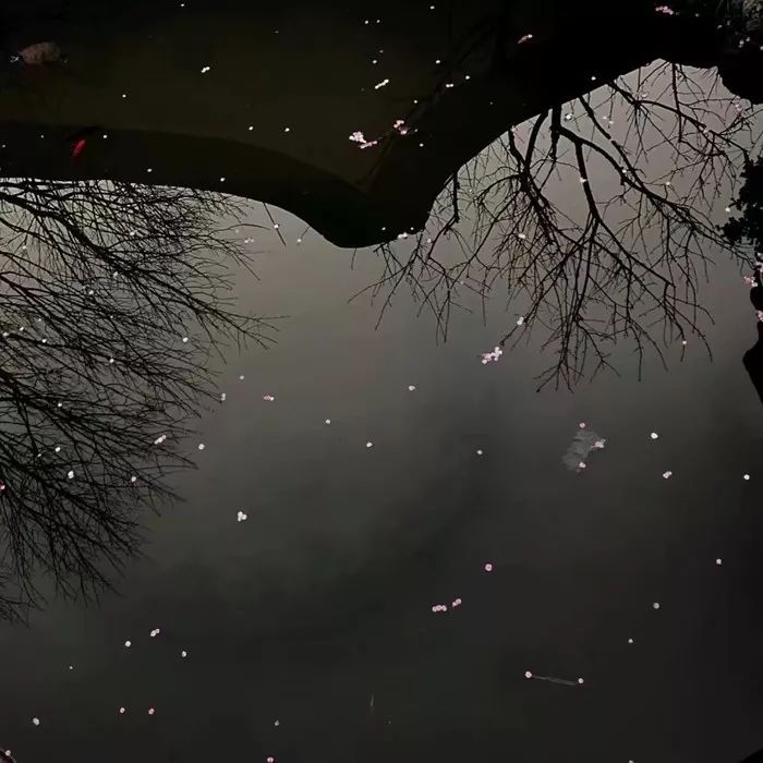 背景图 | 没事听听别人口中的自己 这比看大片还刺激