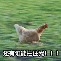 【77小天地】小助理对77的疯狂吐槽，快戳！！