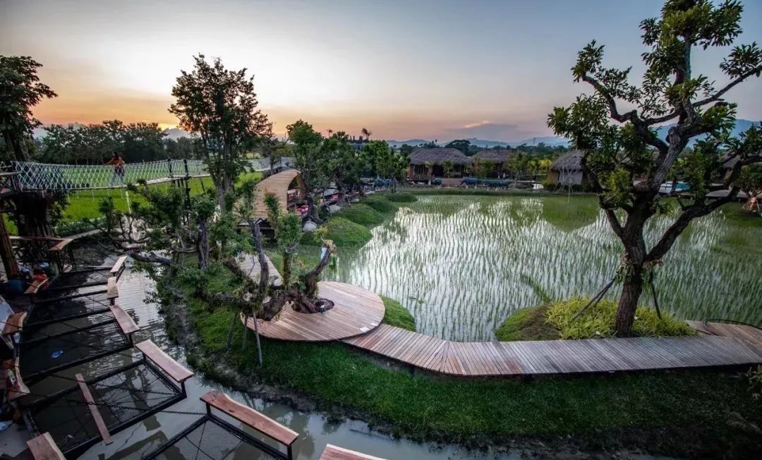 清迈稻田咖啡馆——对的时间就要看对的风景_Baan