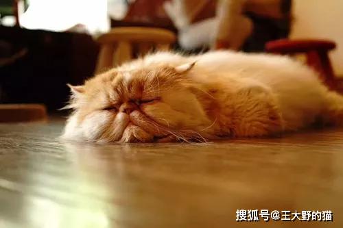 fc2ea107b5d7427bba9a345d1abcd9bd.JPG