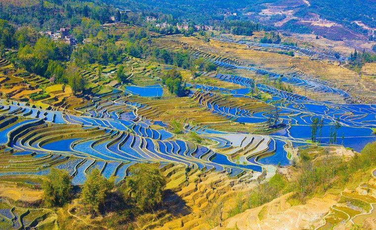 春节6日蒙自芳华拍摄地碧色寨元阳梯田建水古城南湖公园