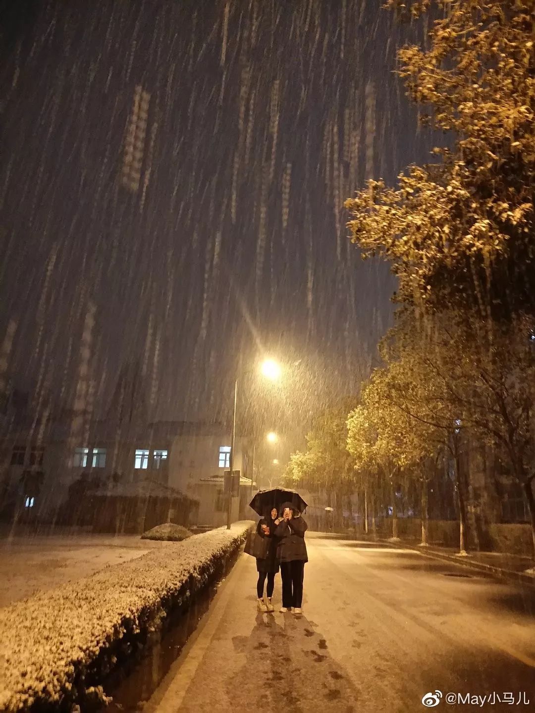 上 迅速裹上了一层银色"外衣" 这一刻 很多人顾不上睡觉 路灯下的情侣