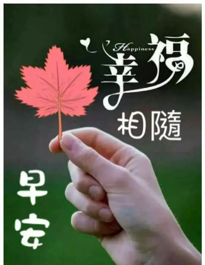 星期四最新漂亮早上好祝福问候语图片腊月暖心的早上好动态表情图片