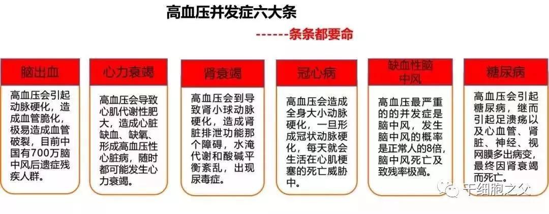 高血压终结者丨干细胞保健让您"轻松解压",重获健康生活!