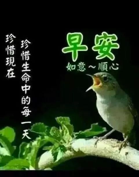 2020特漂亮的早上好暖心问候语表情图片,早上好祝福表情问候图片带字