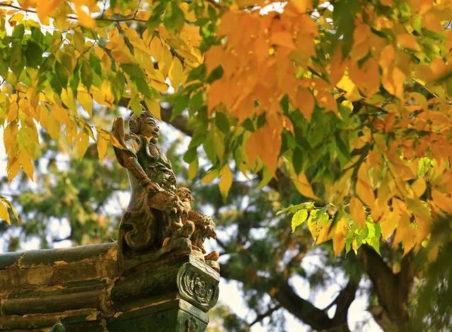 千年古刹灵岩寺，引得历代文人墨客驻足游赏