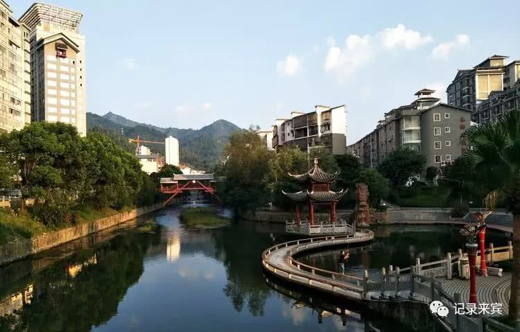 合山人口数_人口普查