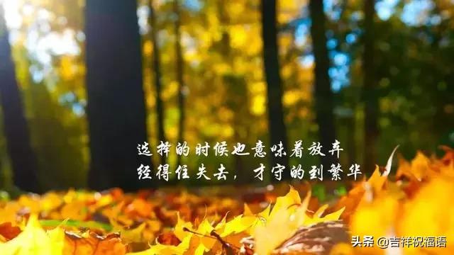33d623bdf85a47acac39ba25cc848074.jpeg