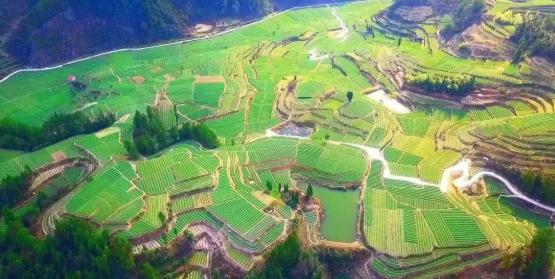 磐安gdp(3)