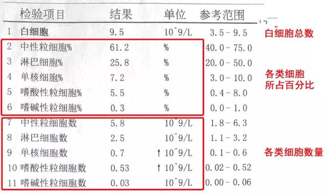 大小海说娱乐■宝妈宝爸、儿医教你认知宝宝们的血常规里面的内容、让你一目了然