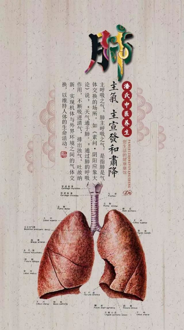补肾补的太多会伤肝吗 718b2731da734c71bcc4661ad344b573.jpeg