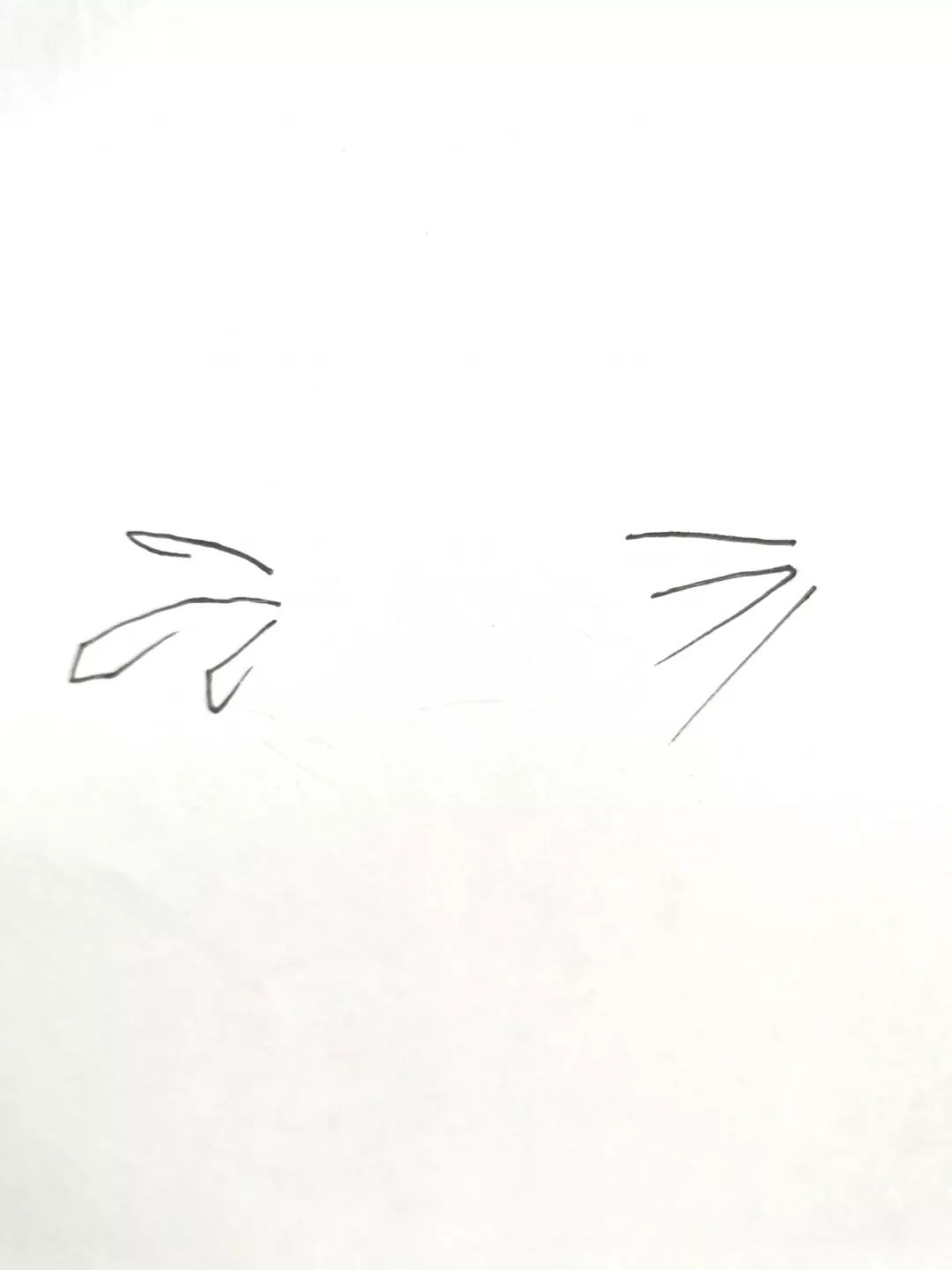 73f82786452047f29ccb63275d5ed568.jpeg
