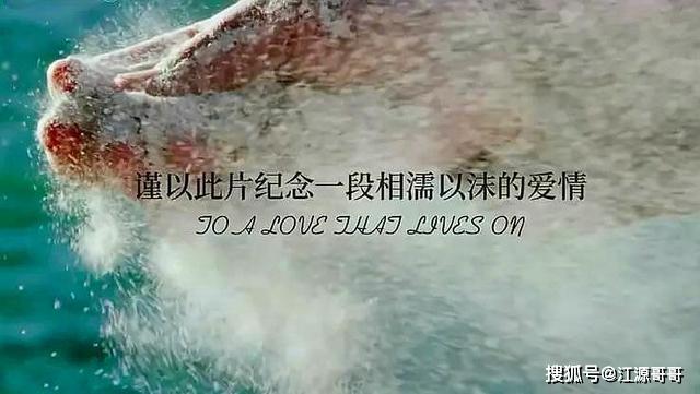 7f90b60a515d4094bf2223104ac6d945.jpeg