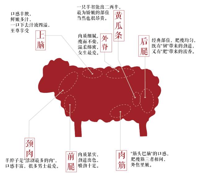 最全羊肉吃法,全民吃起来!多吃羊肉,多长寿!