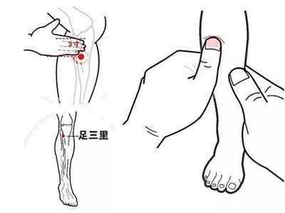 成语絮什么灸鸡_絮状是什么样子图片(3)