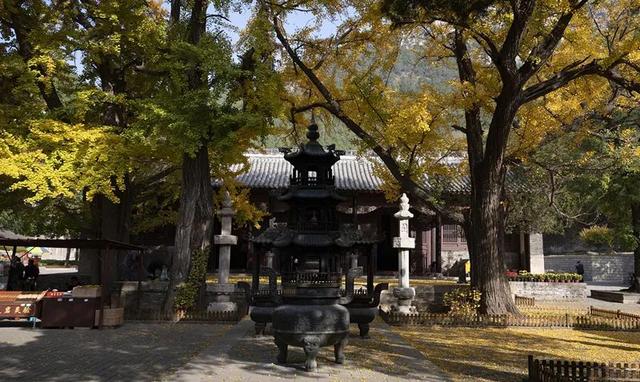 千年古刹灵岩寺，引得历代文人墨客驻足游赏