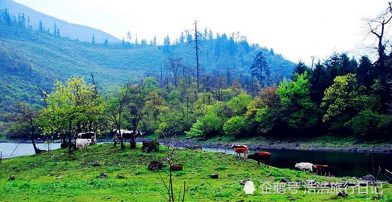 乐山黑竹沟