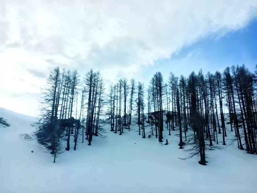 《林海雪原》