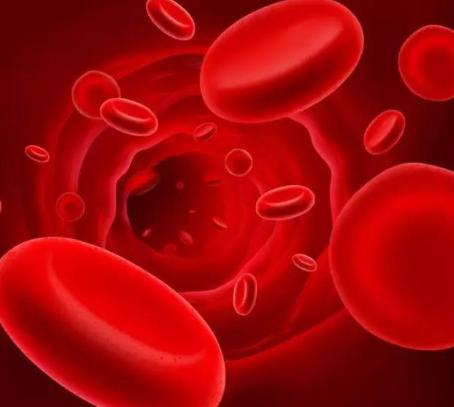 红细胞的营养看红细胞的品格|