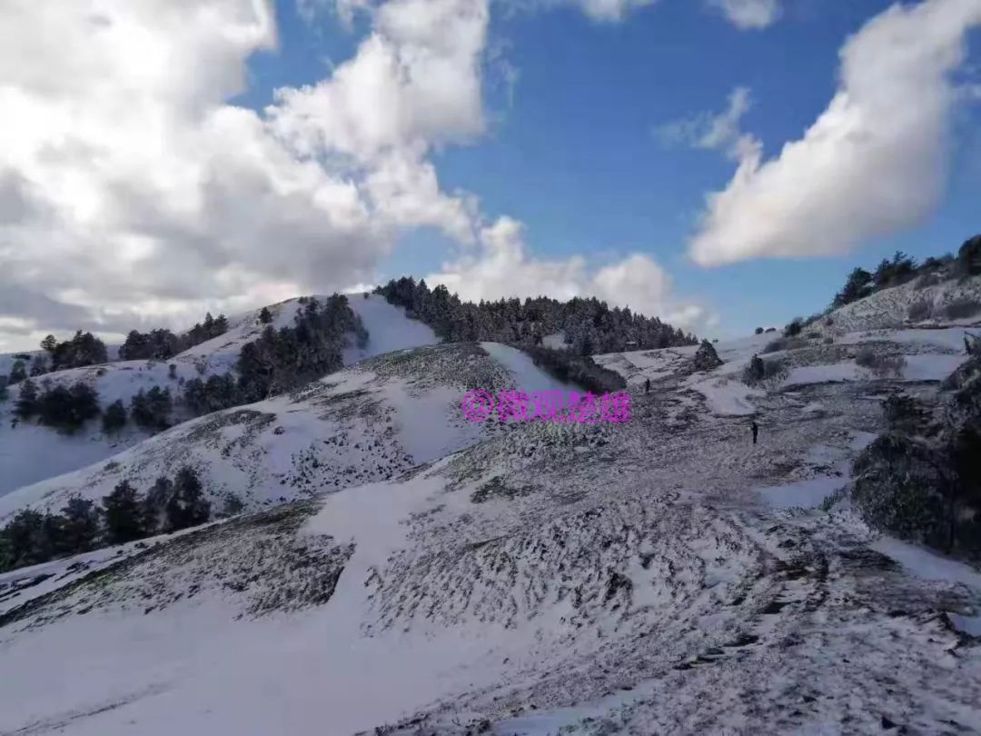 楚雄州第一高峰百草岭下雪了!山顶银装素裹,白雪皑皑