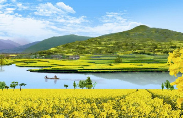 中国最美十大油菜花景点排名(附2023年排行榜前十排名名单)