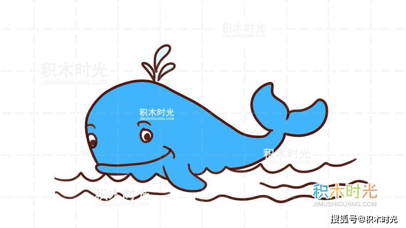 鲸鱼简笔画教程,画鲸鱼简笔画