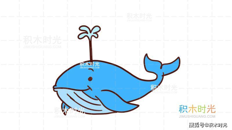 鲸鱼简笔画教程,画鲸鱼简笔画