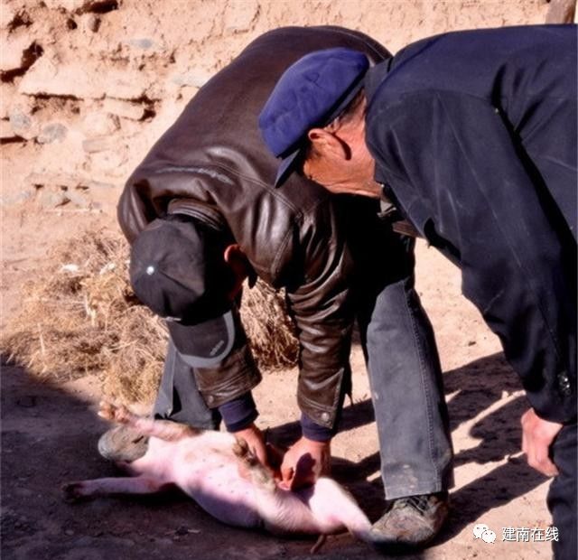 托拉貮拉托以前熟悉的劁猪匠吹出来的标准音乐你们还有印象吗