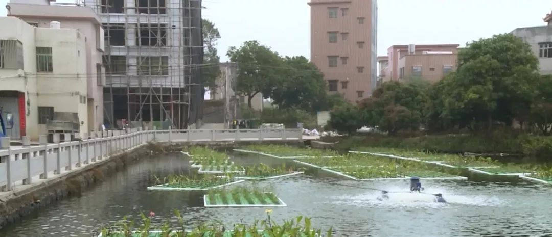 新岭村人口_东城涡岭村人口