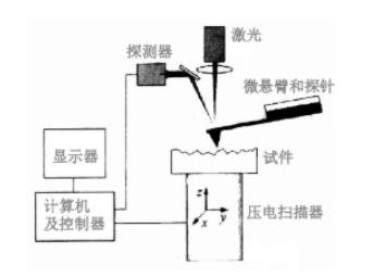 afm基本原理是什么_幸福是什么图片(2)