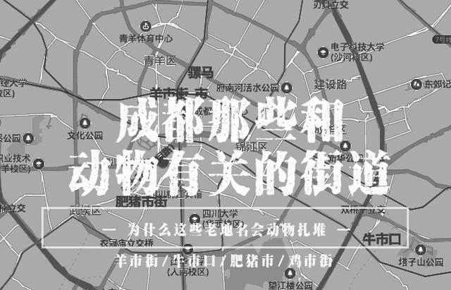 广丰人口有多少人口_山东省面积最大人口最多的市,仅为一座三线城市(2)