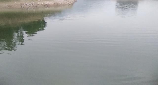 d259c970936341e398c039dbe320d0f3.jpeg