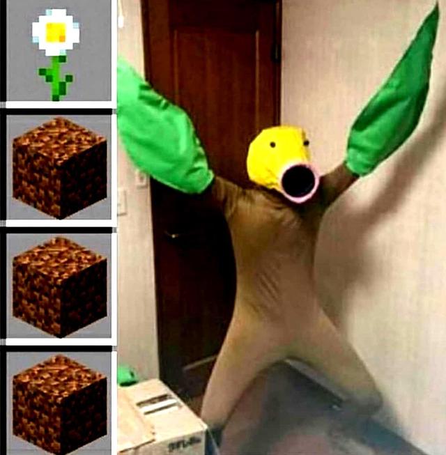 d37a8640a14649b79bdee05bc8094c37.jpeg