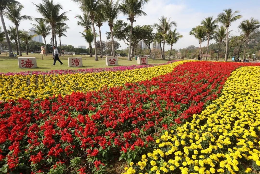 珠海,花海!