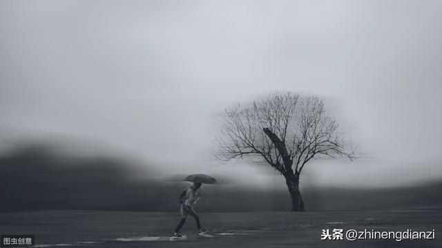 e1a8225491004063b52b89ff015b5ee6.jpeg