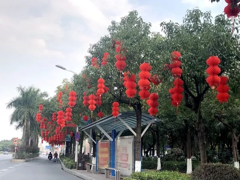 红色灯笼挂起来,贵港街头的年味越来越浓