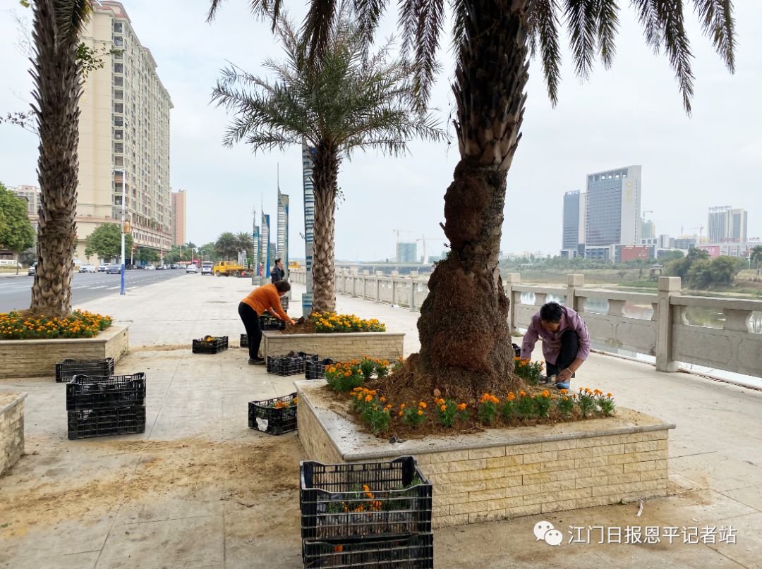 江门市恩平市人口_江门市恩平市图片(2)