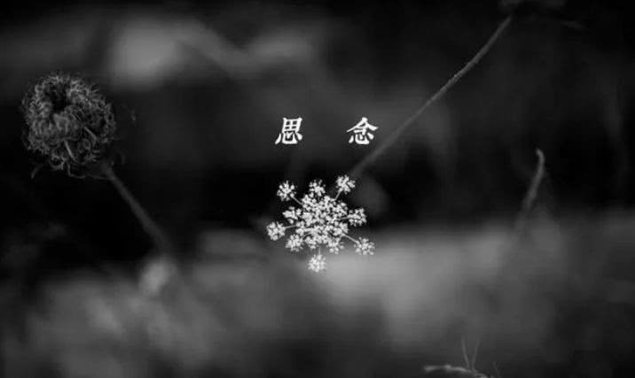 梦回往昔,与逝去奶奶共赴餐桌,一场关于思念与传承的梦境解析 梦回往昔,与逝去奶奶共赴餐桌,一场关于思念与传承的梦境解析