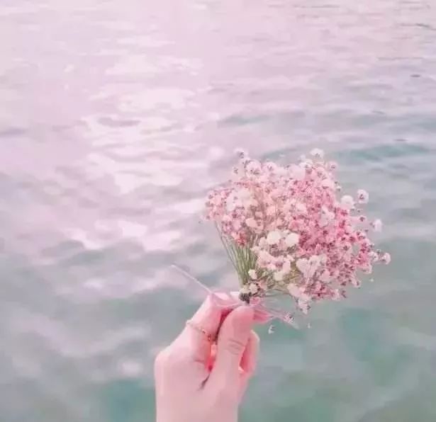 f096d49b89b946e3b5cbb4dfa01c6b6c.jpeg