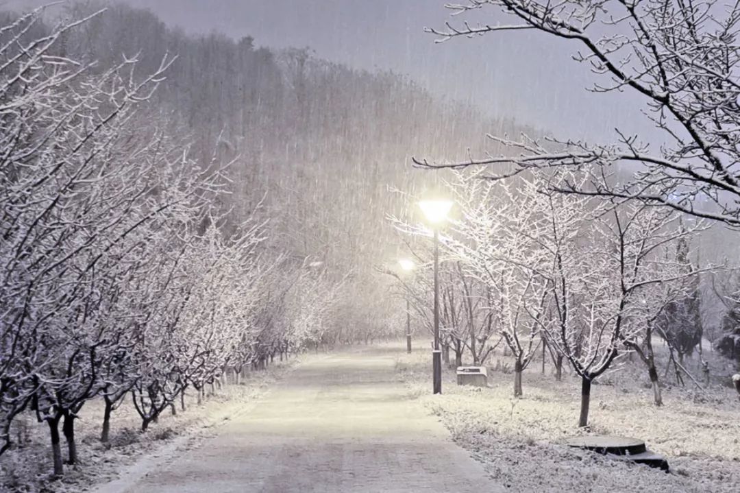 你永远不知道南方人有多热爱下雪,一年就一次,比圣诞冬至都像过节.