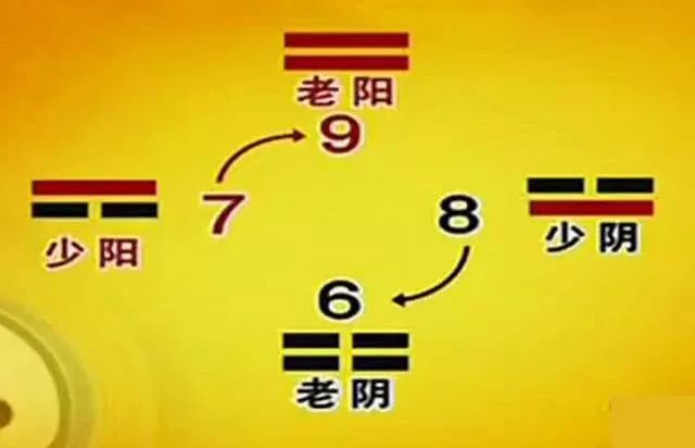 为什么"七上"而"八下"_老阴