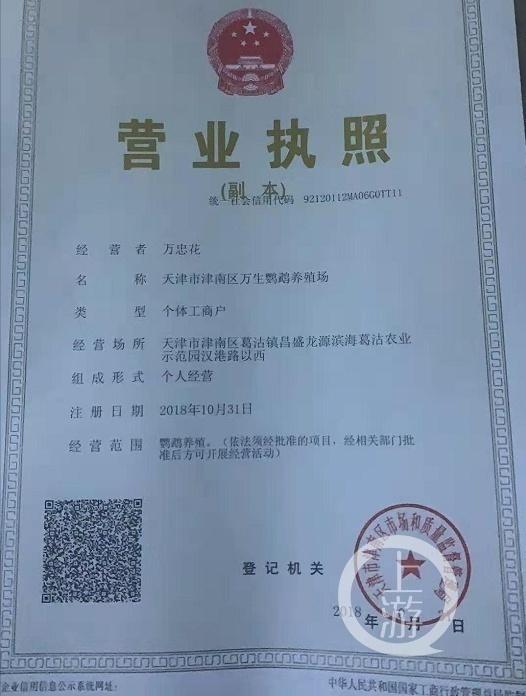 男子出售41只家养鹦鹉获刑10年